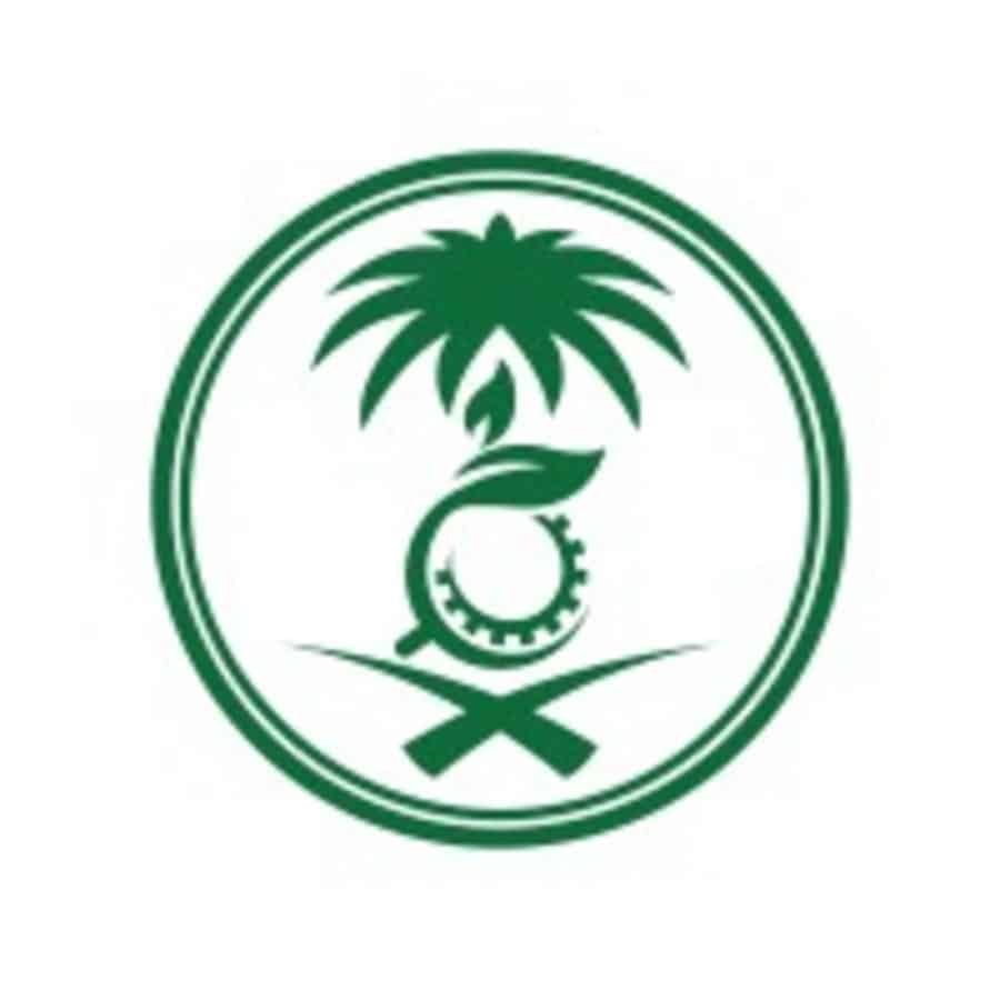 الرئيسية 6 photo 41